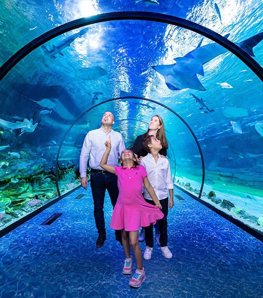 The national aquarium abu dhabi tickets
