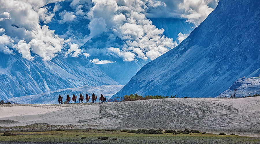 Best places to visit in Leh Ladakh, Nubra Valley