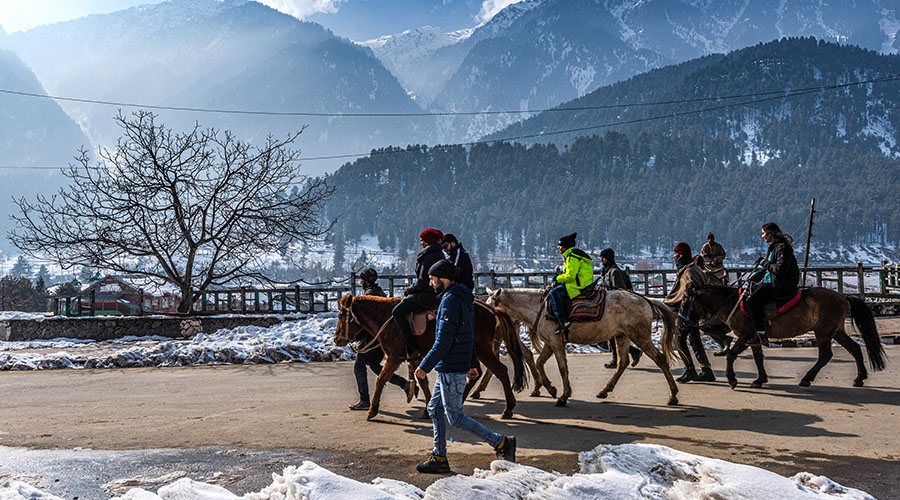 Pony ride in Kashmir