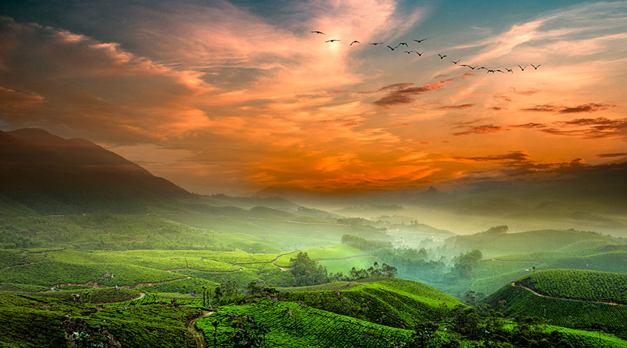 Munnar in Monsoon