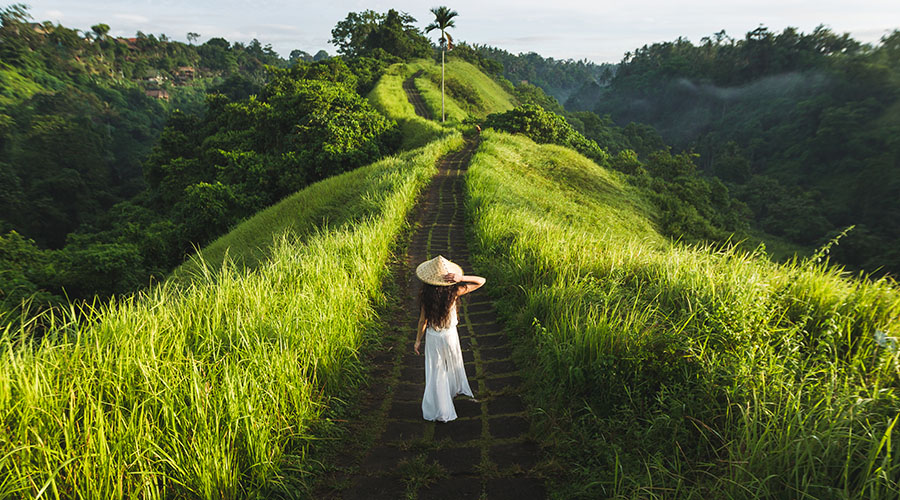 Campuhan Ridge in Bali, best places to visit in Bali